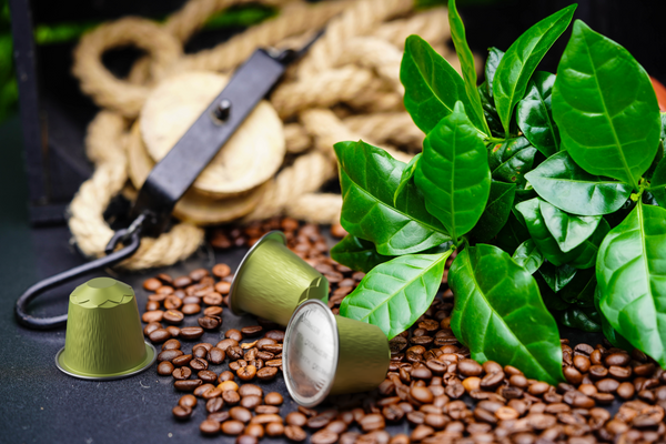 Organic USDA Bestpresso Coffee For Nespresso Original - Naturally Balanced 120 Pods